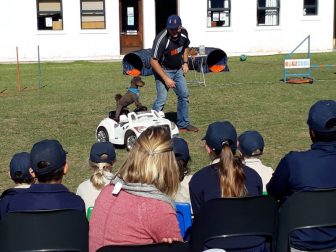 Dog Show