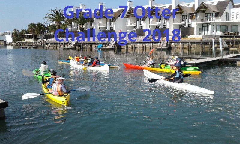 Grade 7 Otter Challenge Paddling header picture