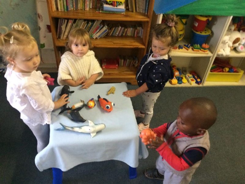 Butterfly Class 2019 T1