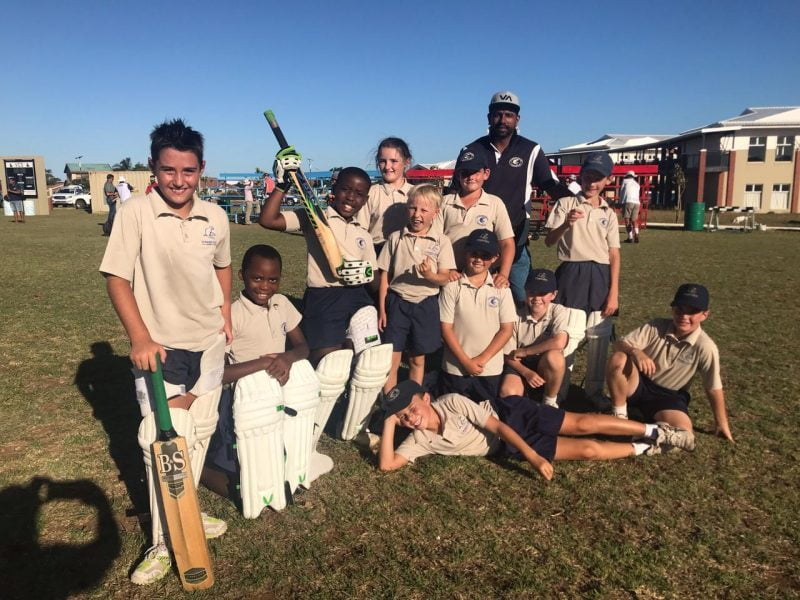 cricket pic