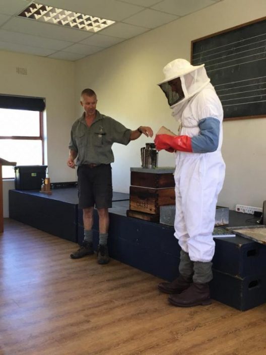 bee keeping pic