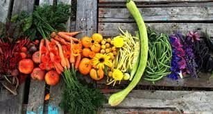 bright gardening