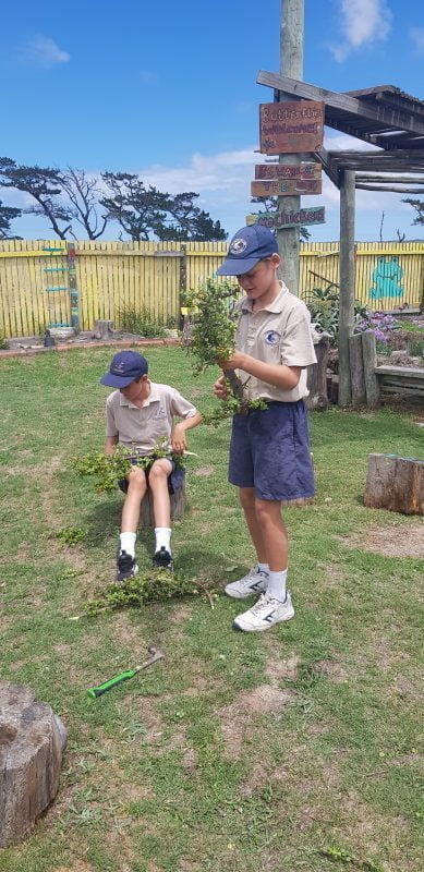 gardening 2
