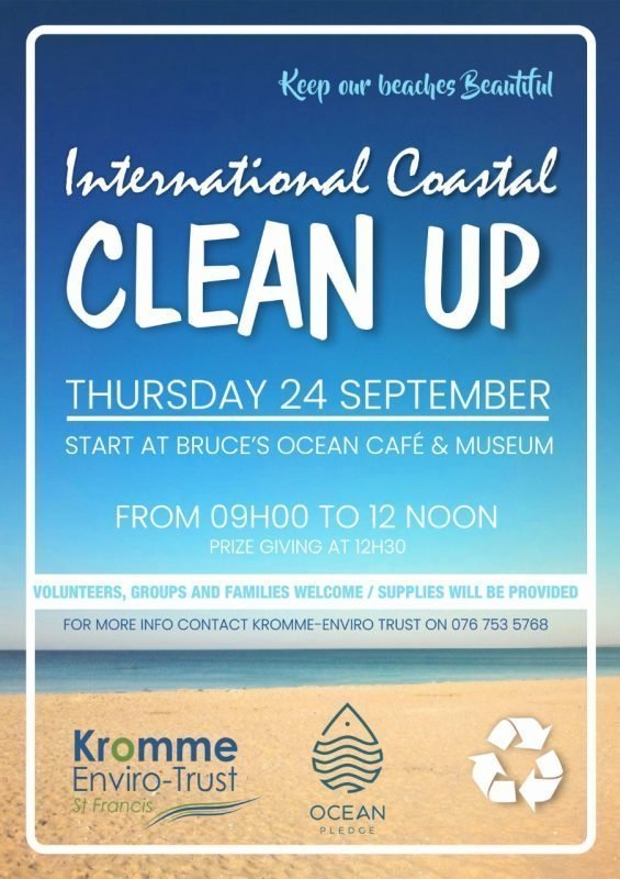 beach clean up poster