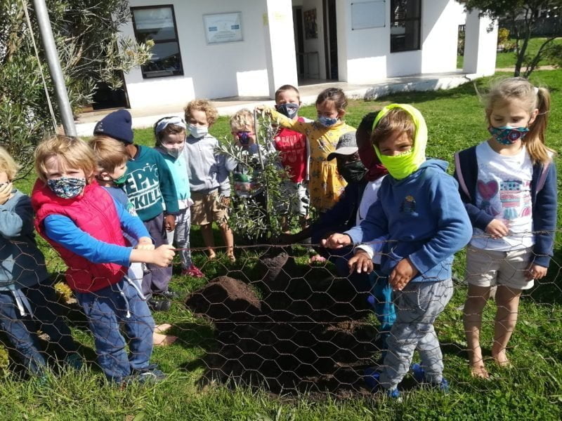 grade 00 planting