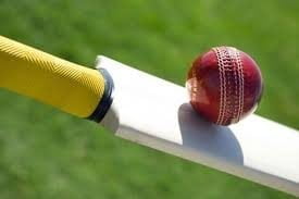 cricket and bat