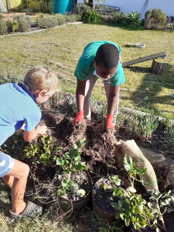 gardening pic