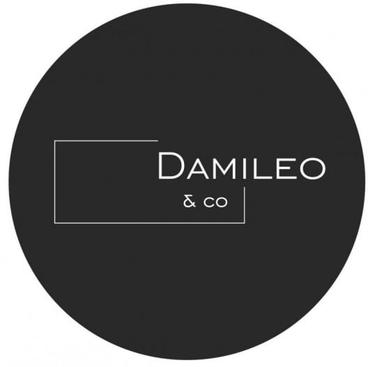 damileo logo