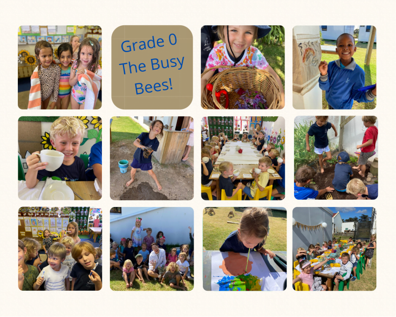 Grade 0 pics