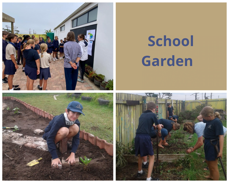 school garden