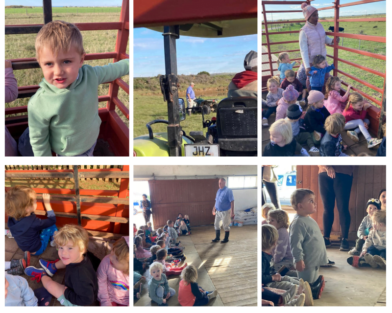 Bumble bee farm adventure
