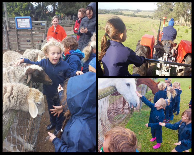 Grade 1 farm outing