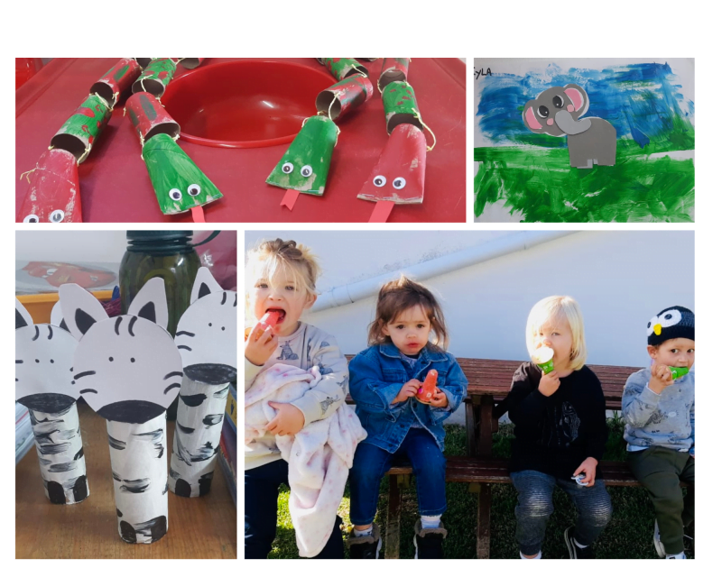 butterfly class pics