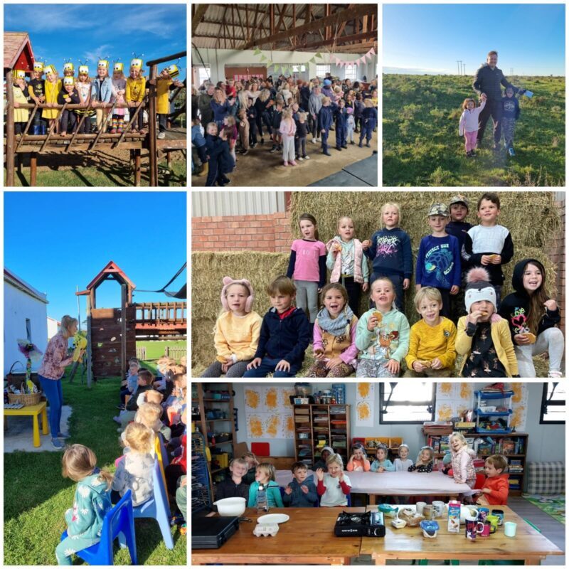 ECD pics