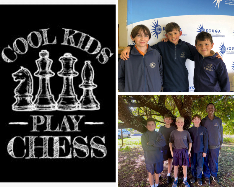 chess collage