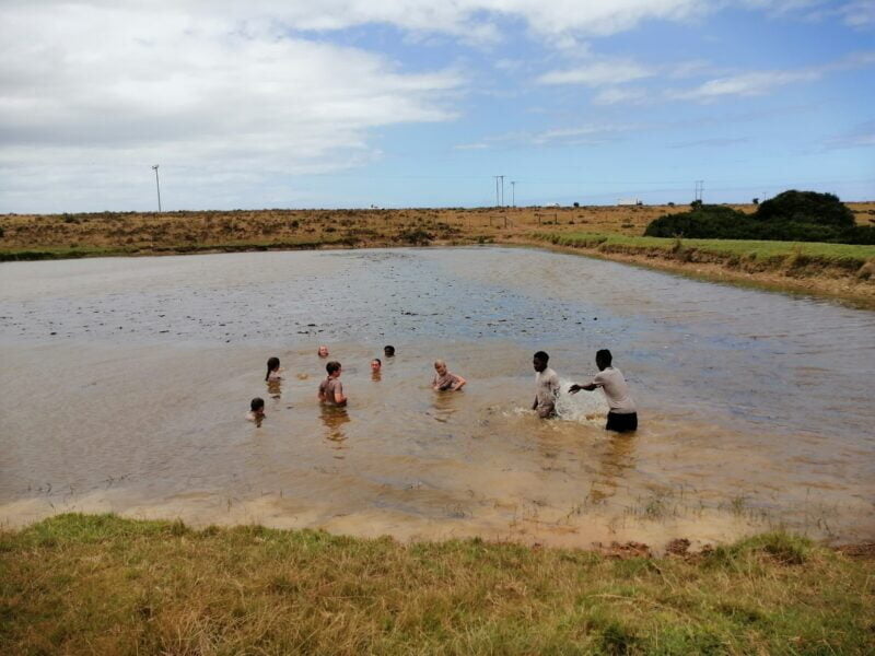 grade 7 dam pic
