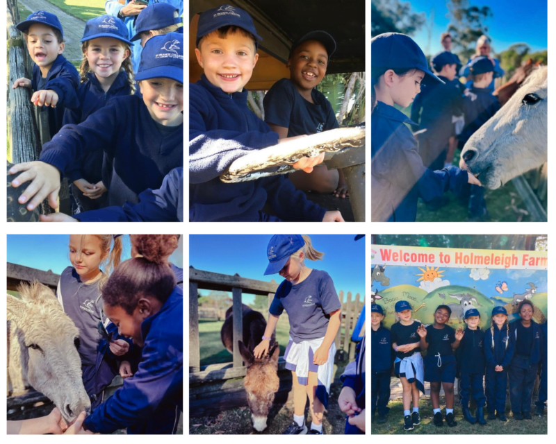 Grade 1 outing pics