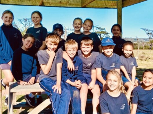 grade 4 pic