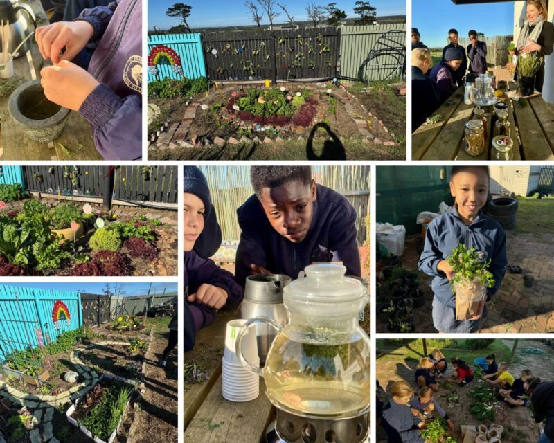 gardening collage