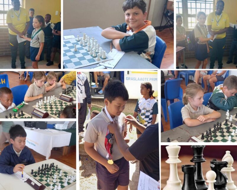 chess collage