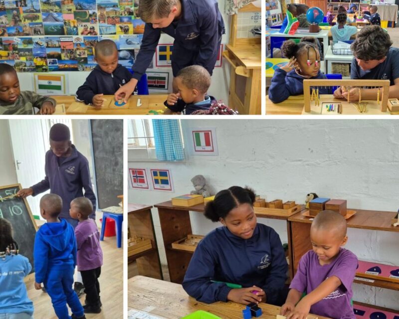 talhado collage
