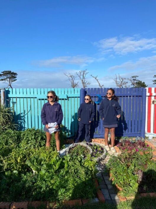 Grade 6 garden pic