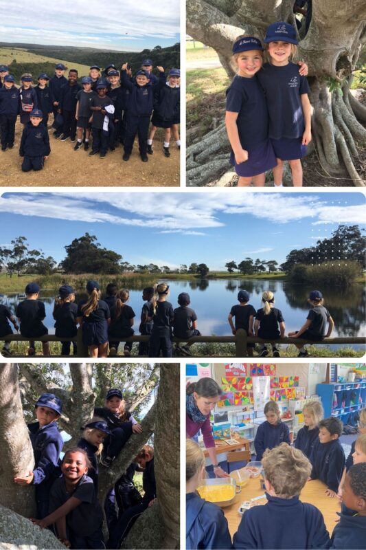 gr 1 collage