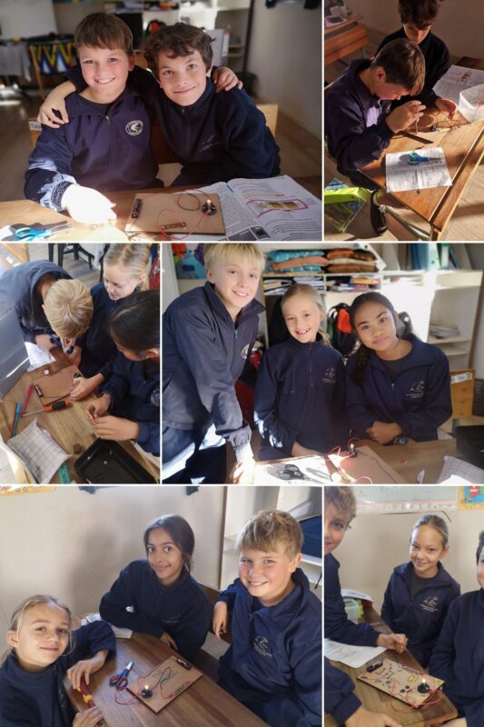 Grade 5 Collage