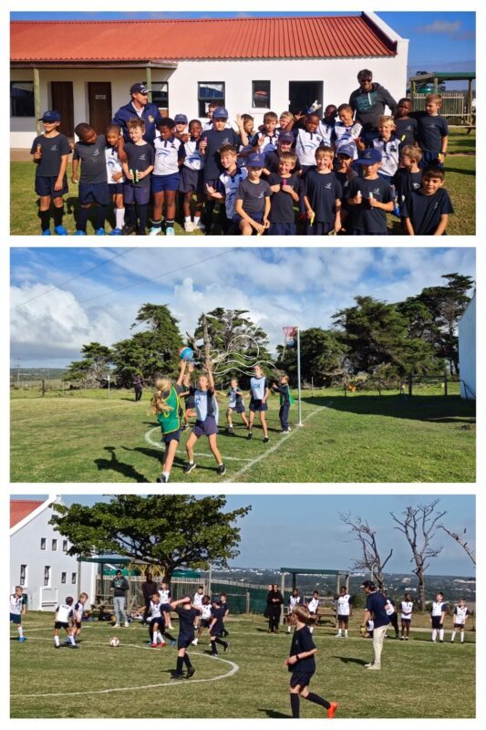 sport collage