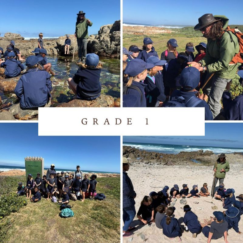 collage grade 1