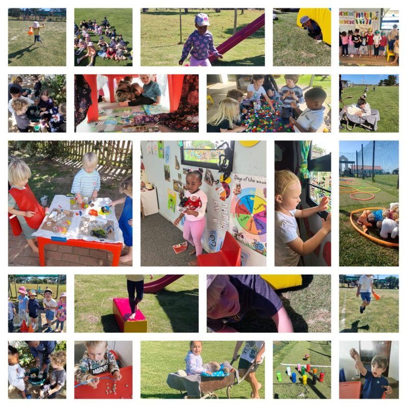 ecd pic collage