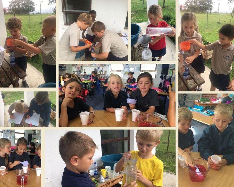 Grade 1 Collage