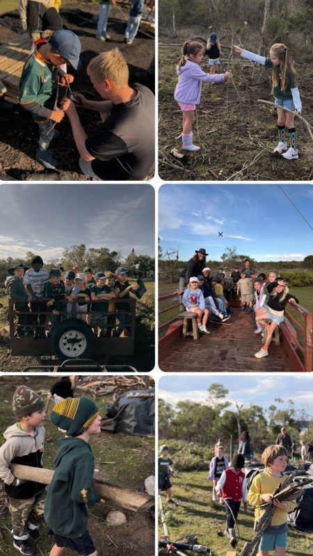 Grade 1 Collage