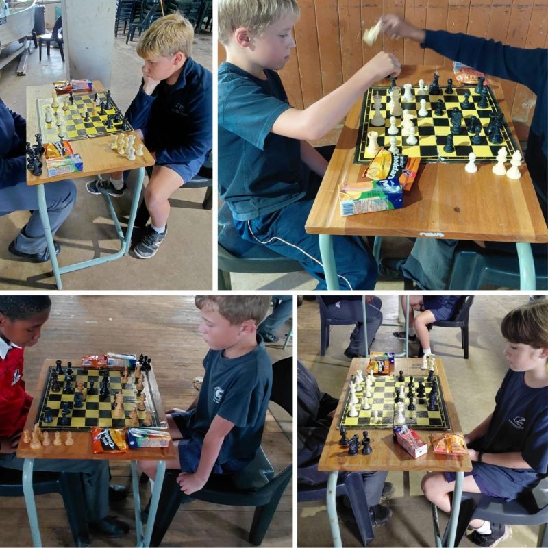 chess collage