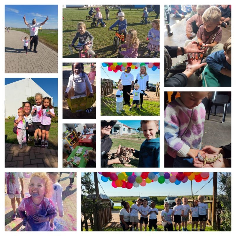 ECD collage