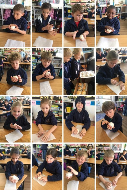 Grade 1 Collage